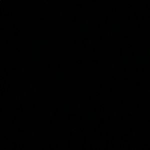 Meet your Posher, Trenton